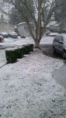 28208111_10215492561851356_1362226380_o