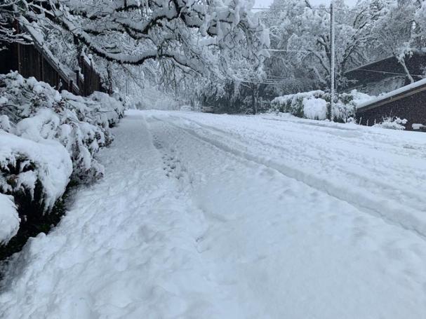 Eugene 2.25 Micah Sardell